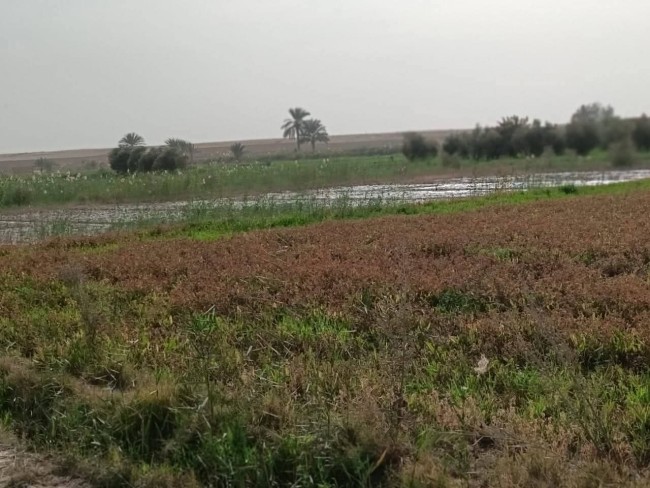 النائب حمادة سليمان بصحبة أهالي قرية الجمهورية