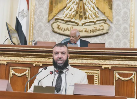 رئيس "برلمانية النور" لوزير الزراعة: لا يصح أن تتفاجأ بالمشكلات.. وبعض  أقسام مركز البحوث ميزانياتها  100 جنيهًا
