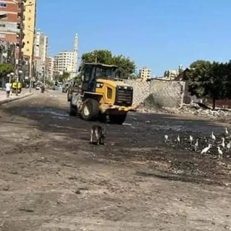 بالصور| "حمدى" يثمن إستجابة "محافظ البحيرة " لرفع 700 طن قمامة  بالمكمورة