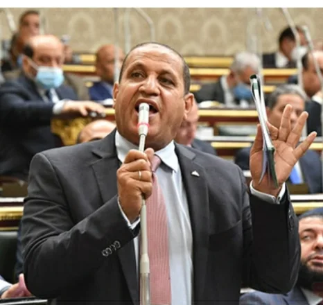 بالفيديو|"العرجاوى"يناشد بتطبيق قانون التأمين الصحي الجديد لـ"7مليون مواطن" بالبحيرة