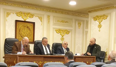 لجنة المقترحات والشكاوي - أرشيفية