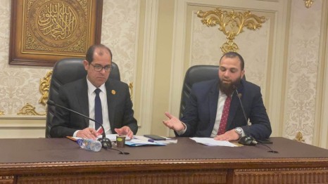 النائب محمود تركي عضو مجلس الشيوخ