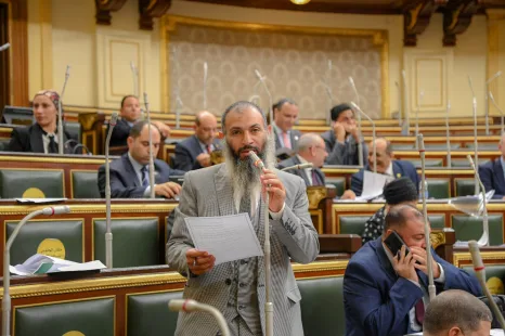 عضو "برلمانية النور": تكرار حوادث إزهاق النفس سواء بالقتل أو الانتحار تهدد أمن واستقرار المجتمع